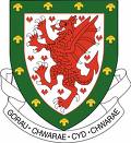 FAW - Football Association of Wales