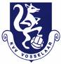 KVV Vosselaar