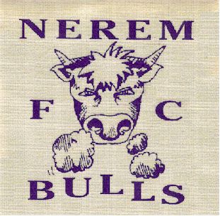 FC Nerem